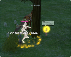 調教
